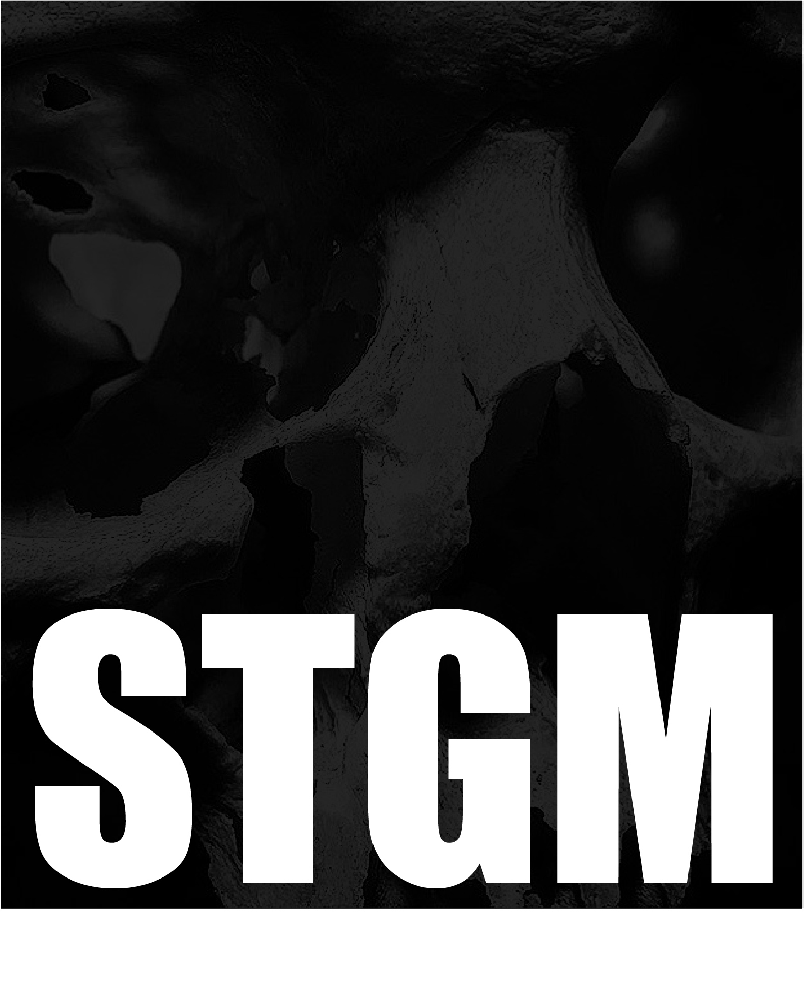 STGM